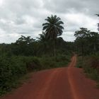 La piste rouge.