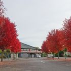 La place était rouge ...