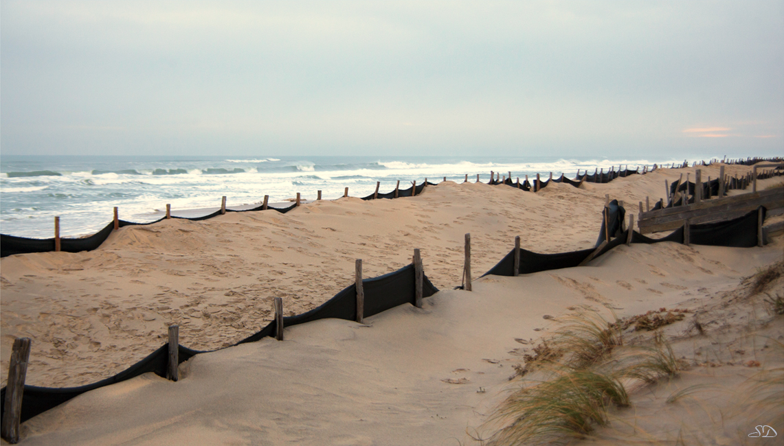 La Plage à Biscarosse