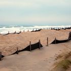 La Plage à Biscarosse