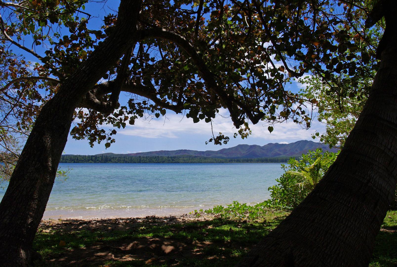 La plage à marée haute - Hôtel Kanua Tera Ecolodge (Port Boisé) Nouvelle Calédonie