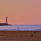 La plage aux goëlands