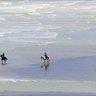 la plage de Ault..Somme