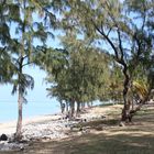 La plage de Boucan Canot (LA REUNION)