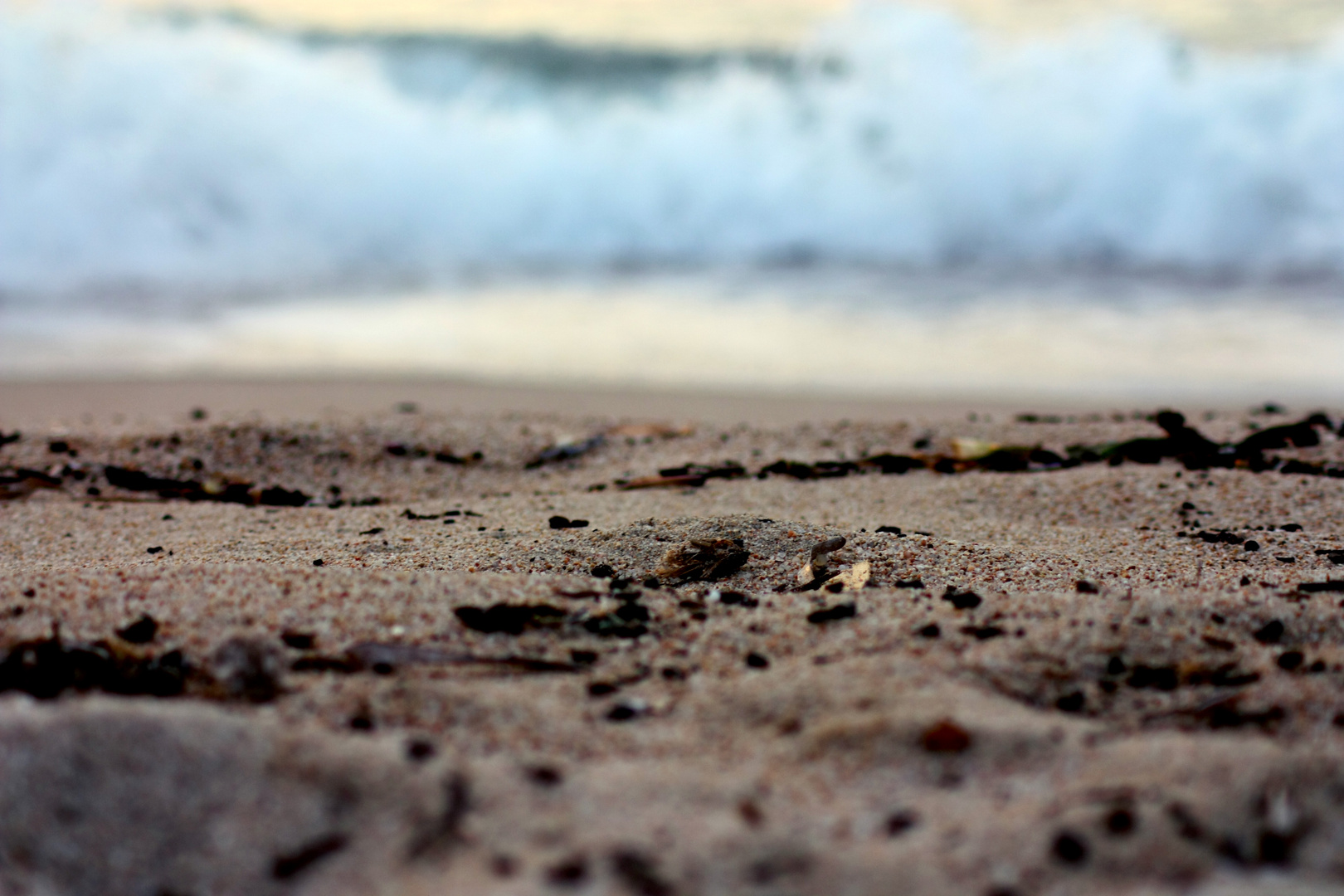 la plage de Corse