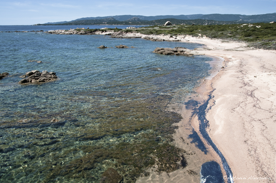 La plage de La Testa Figari Ventilegne