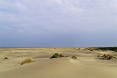 La plage de l'Espiguette...