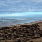 La plage de Messanges le 4 janvier