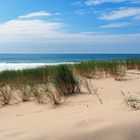 La plage de Mimizan Lespecier