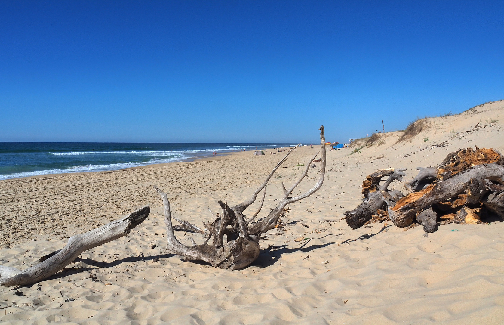 La Plage de Mimizan Lespecier