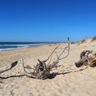 La Plage de Mimizan Lespecier