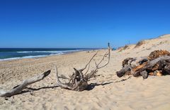 La Plage de Mimizan Lespecier