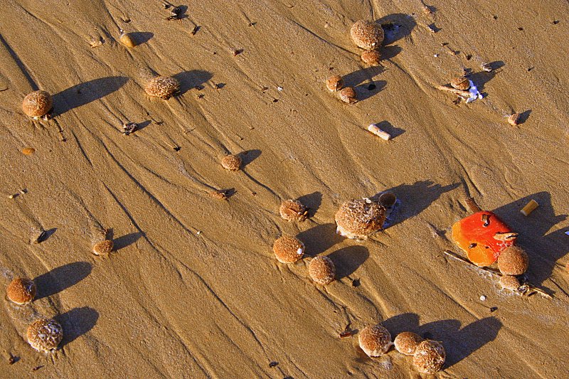 la plage de sable