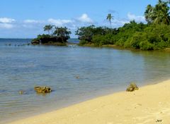 La plage de Saint Gabriel à Yaté