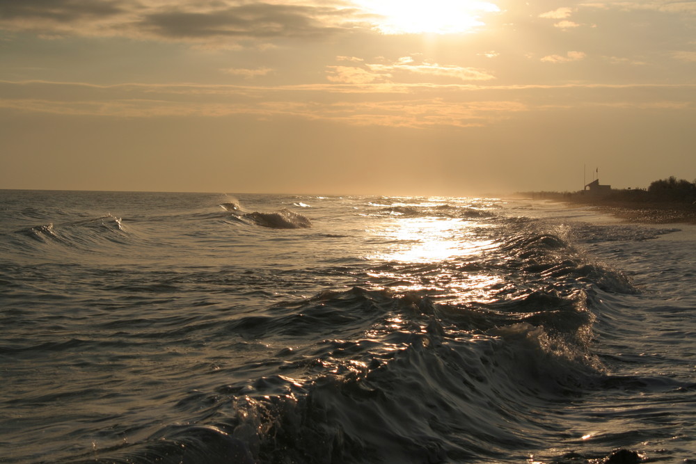 La plage des Arresquier