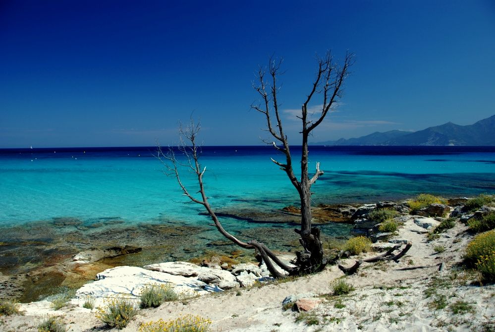 la plage du Lotu