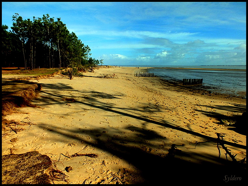 La plage en hiver