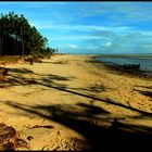 La plage en hiver