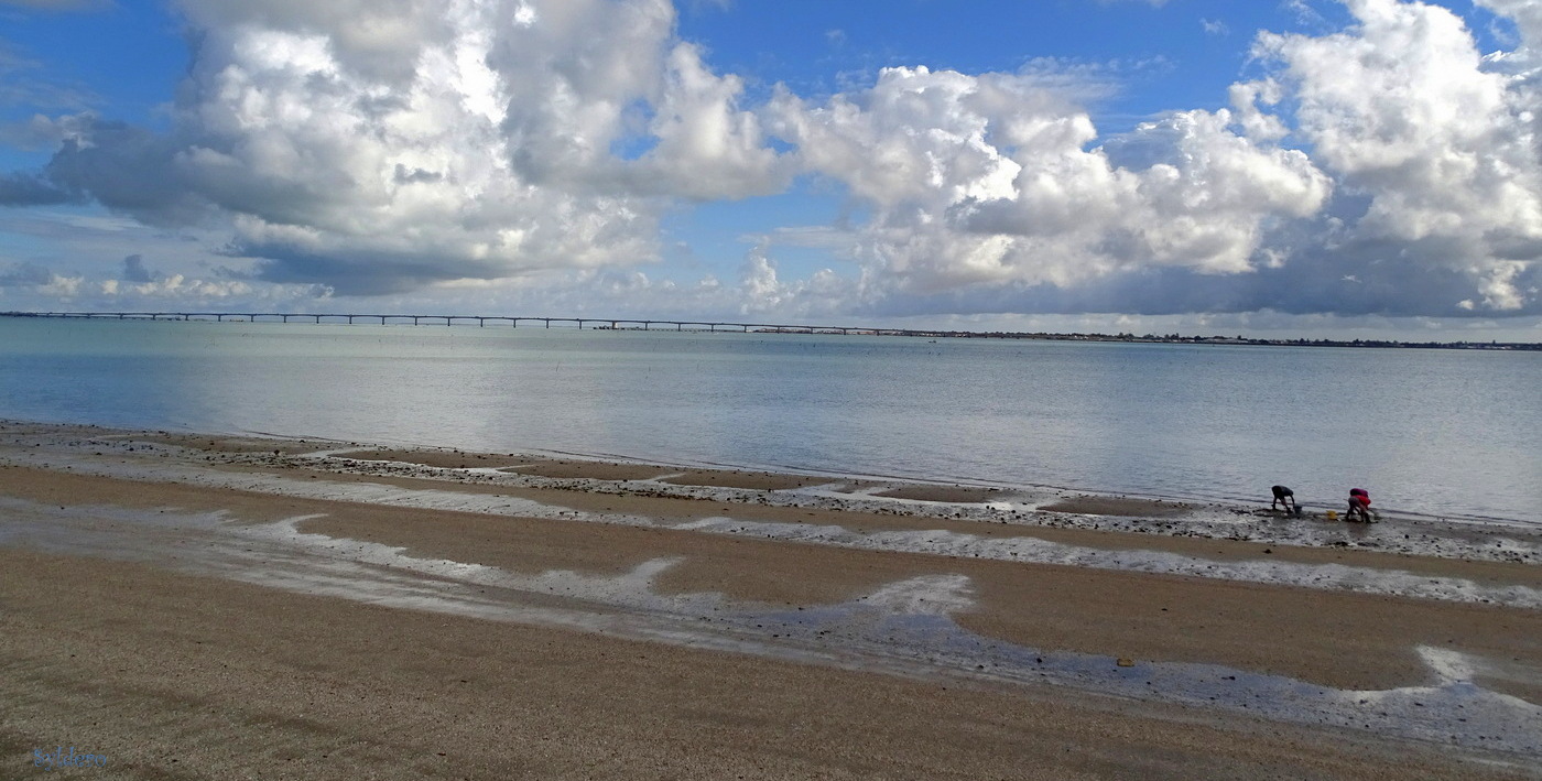 La plage en hiver