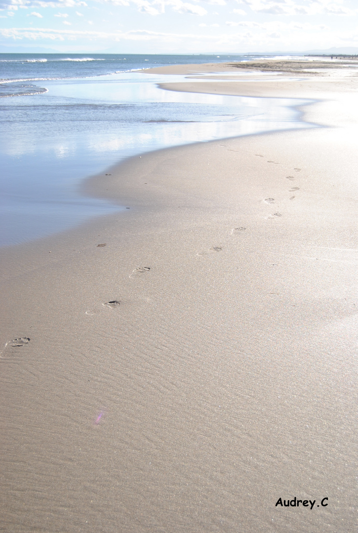 La plage en hivers