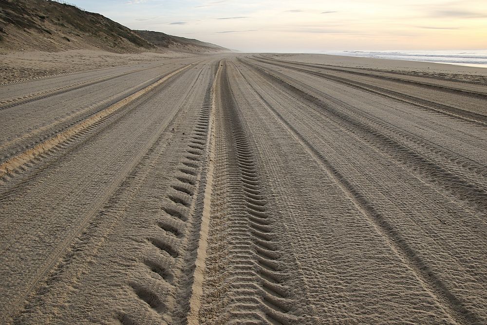 la plage est propre !