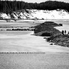 « La plage est un endroit où il est séant... de le montrer. »