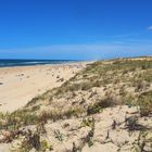 La plage et la dune de Mimizan Lespecier, côté nord