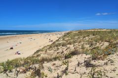 La plage et la dune de Mimizan Lespecier, côté nord