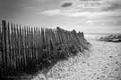 La plage Ile d'Aix de Fresdy 