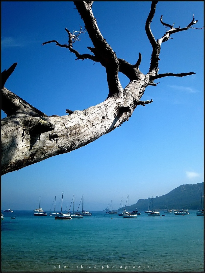 La Plage Notre-Dame