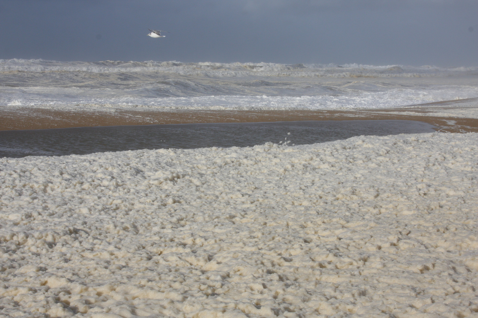 la plage pendant la tempête