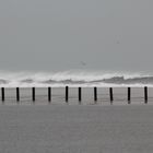 La Plage - Port Saint Louis