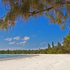 La plage pour soi  --  Der Strand für sich allein 