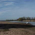 La plage s'est agrandie ! 