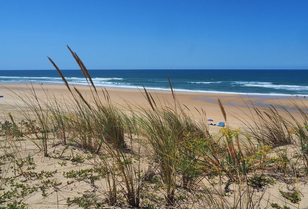 La plage vue de la dune