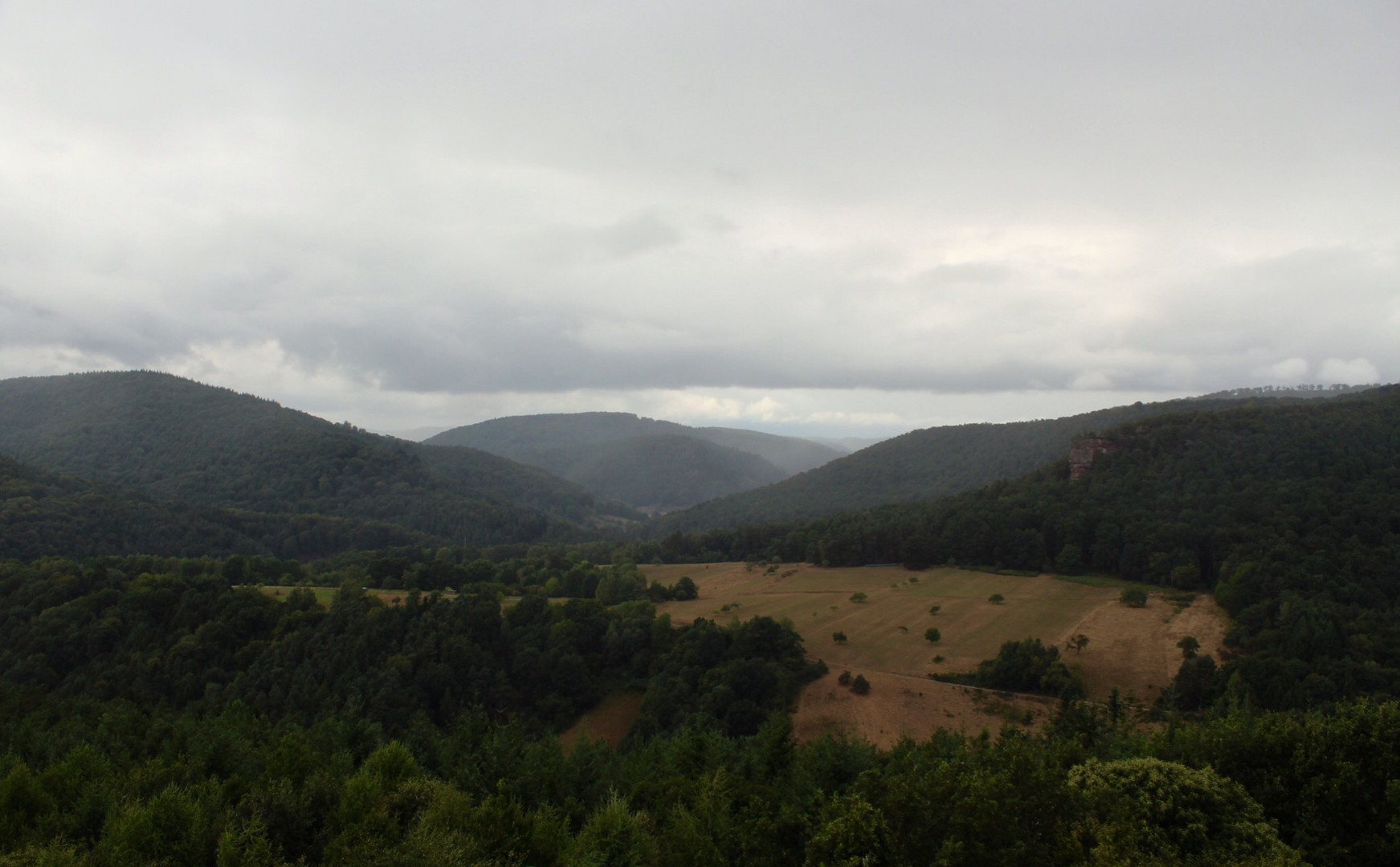 La plaine d'Alsace