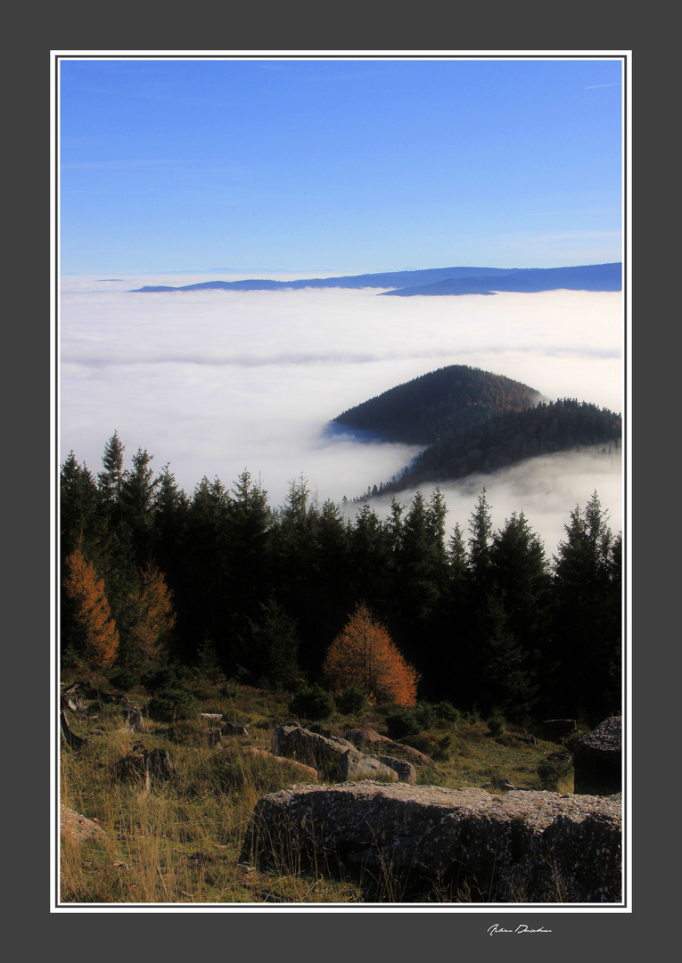 La plaine d'Alsace dans la grisaille