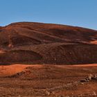 la plaine des sables