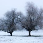 La plaine sous la neige.