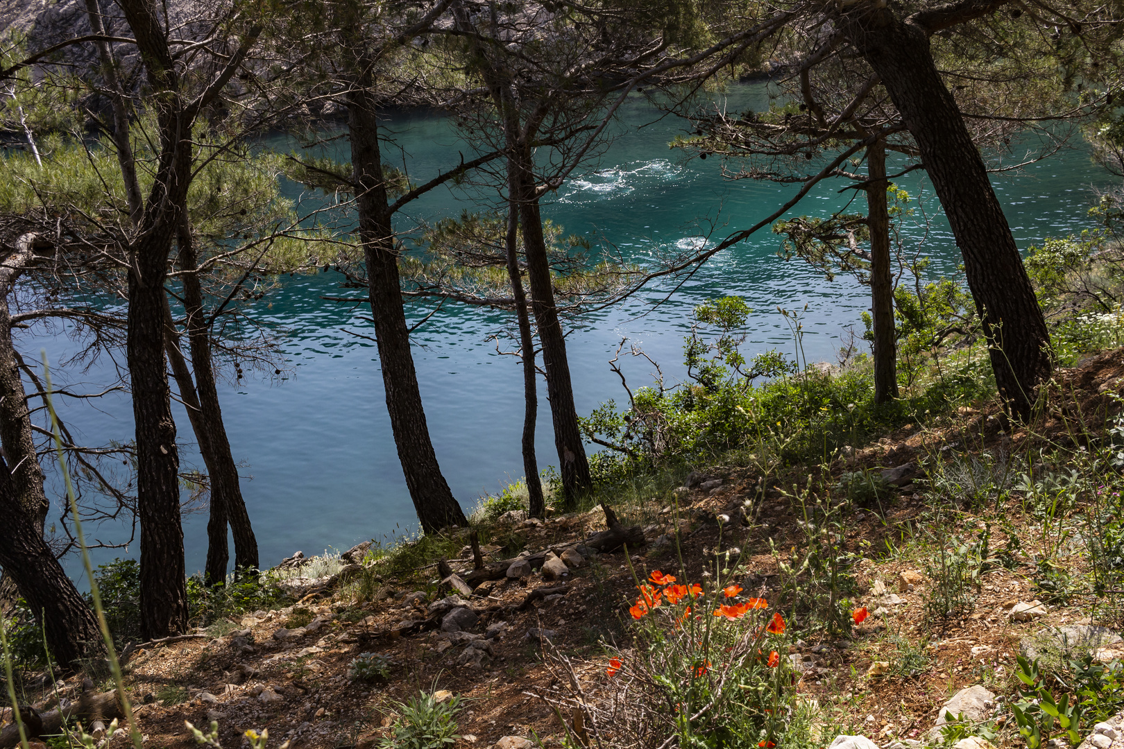 La playa de Vrbnik