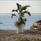 La playa decorada