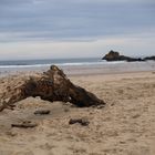 La playa estaba desierta,el mar bañaba tus pies,cantando con mi guitara para ti Mª Isabel