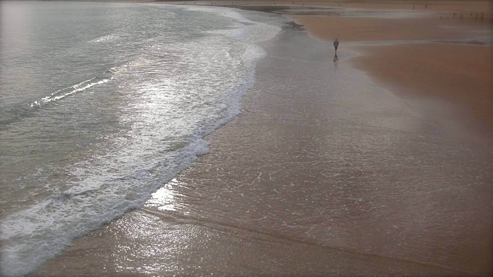 La Playa ( Sardinero)