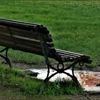 la pluie a fait déserter les parcs ....