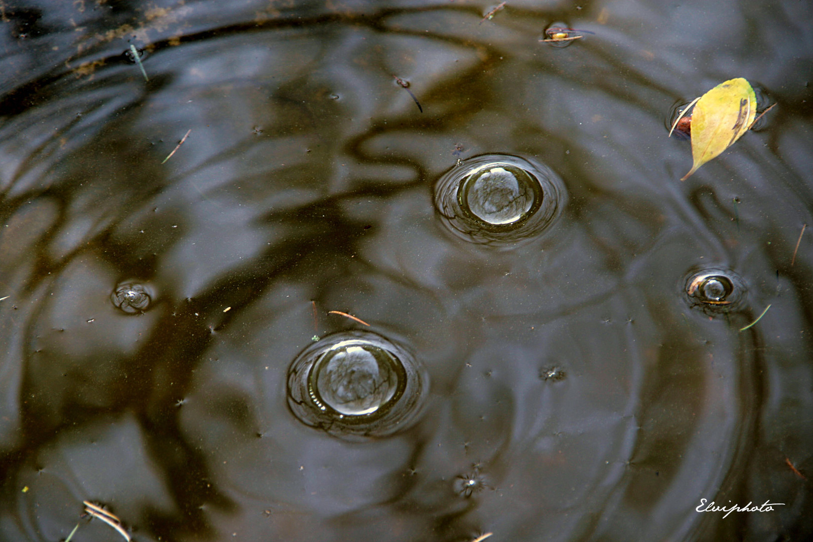 La pluie fait des bulles 