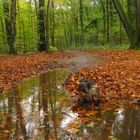 la pluie nous invite à marcher dans les nuages