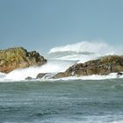 la plus grande houle des dernières décennies