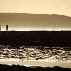 La pointe aux oies à contre-jour 