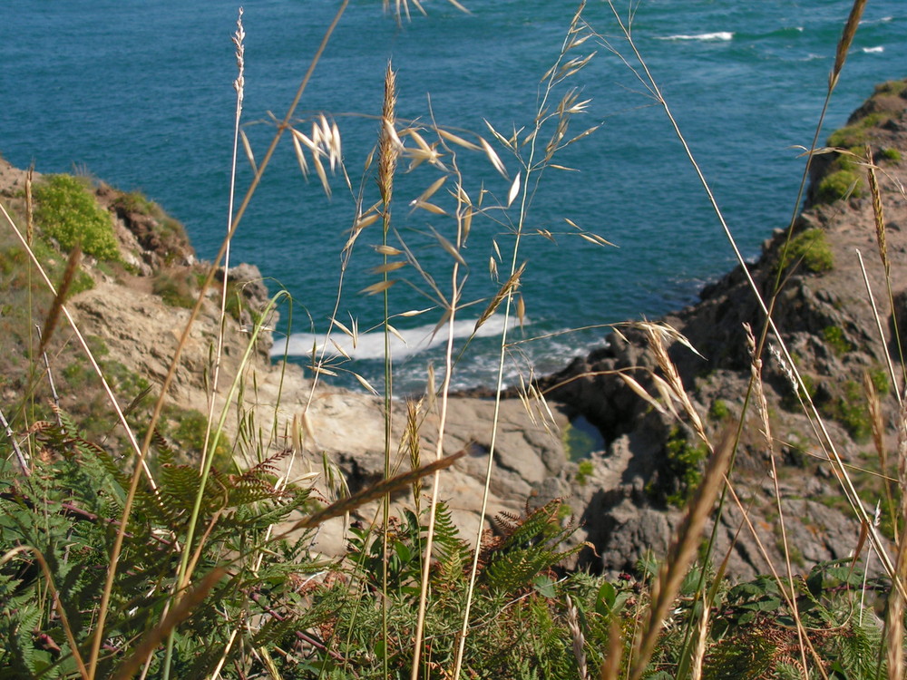 la pointe du grouin