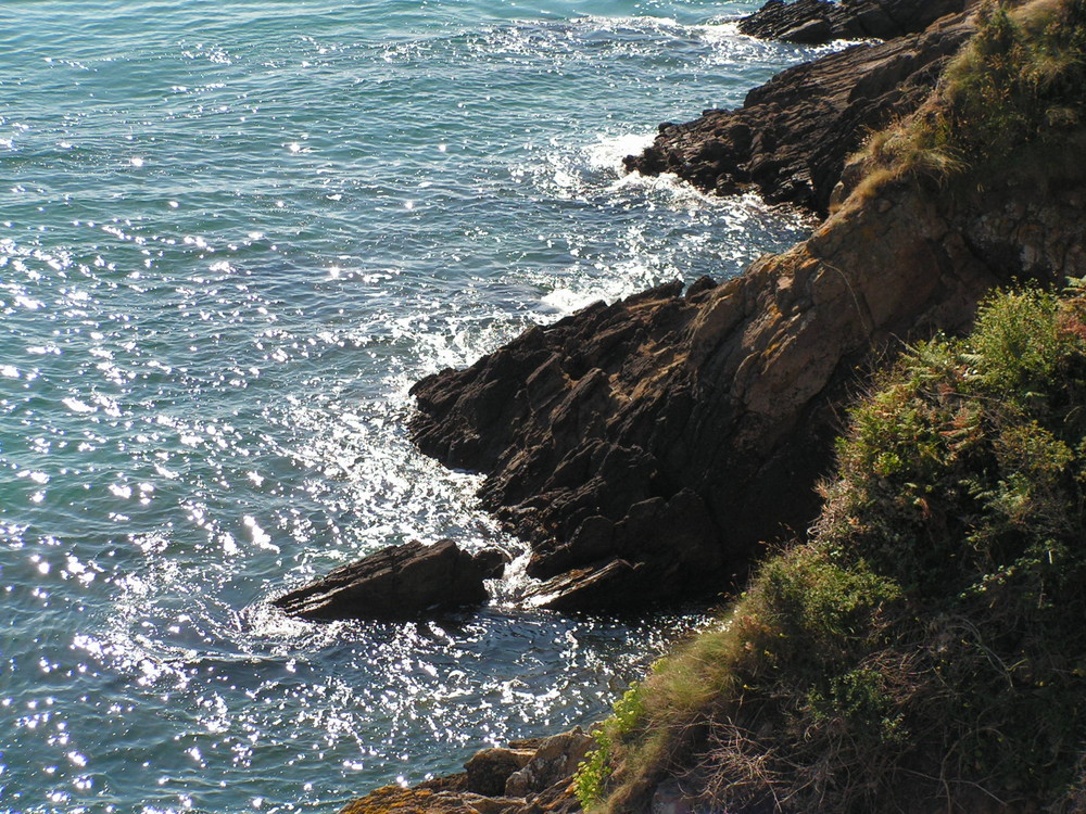 la pointe du grouin